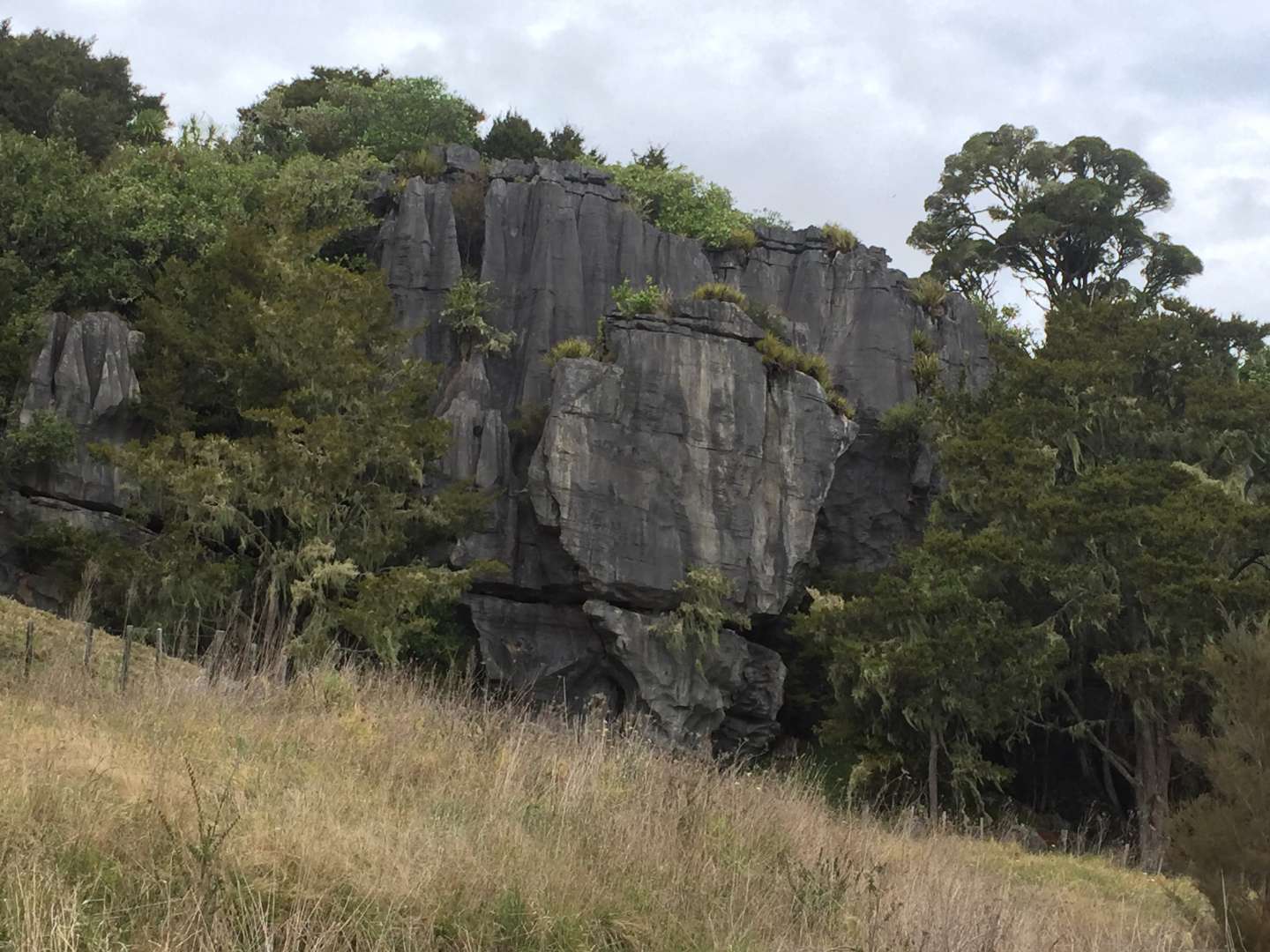 Limestone Hills by the Waiomio Glow Worm Caves