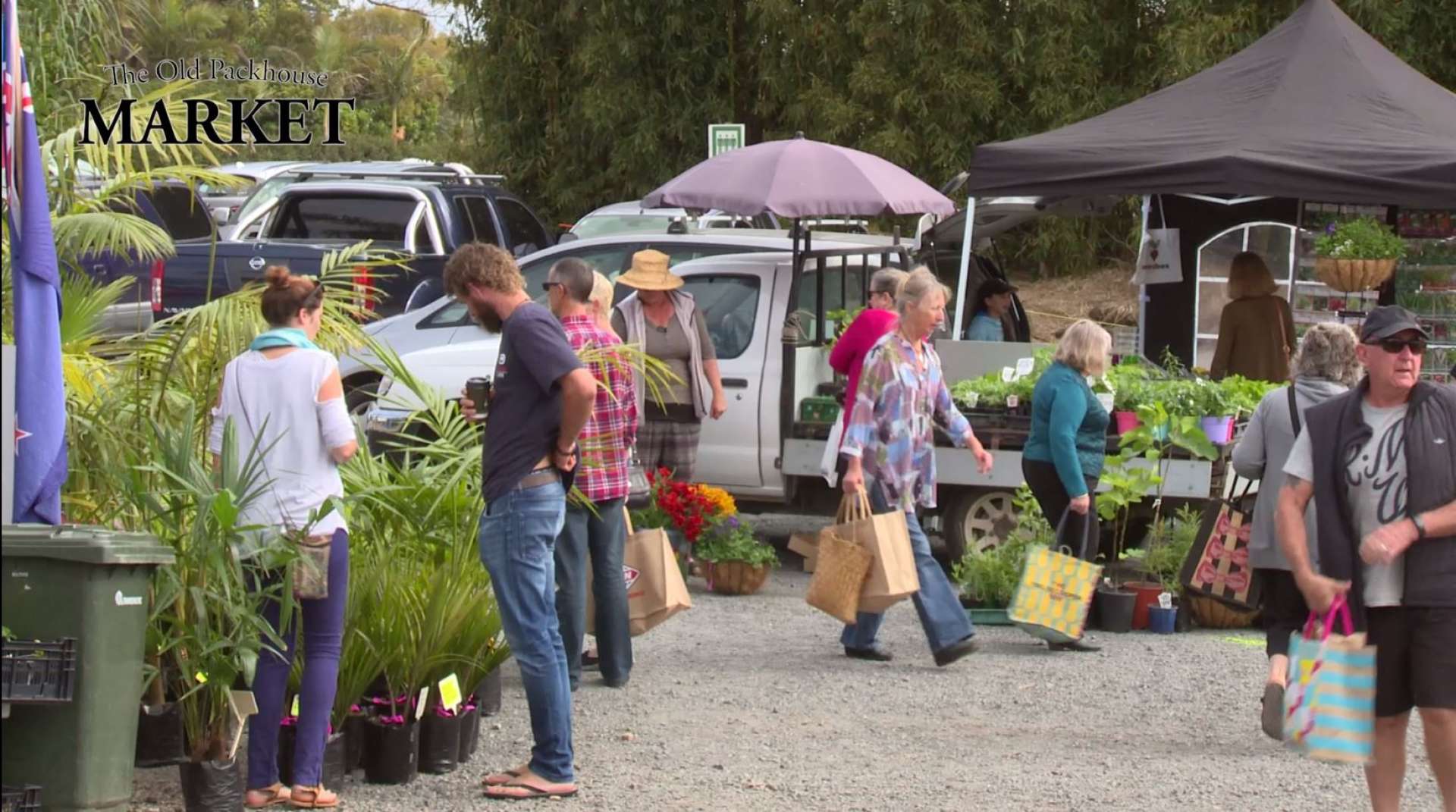 Lots of fun things to see and do at the Old Packhouse Market in Kerikeri