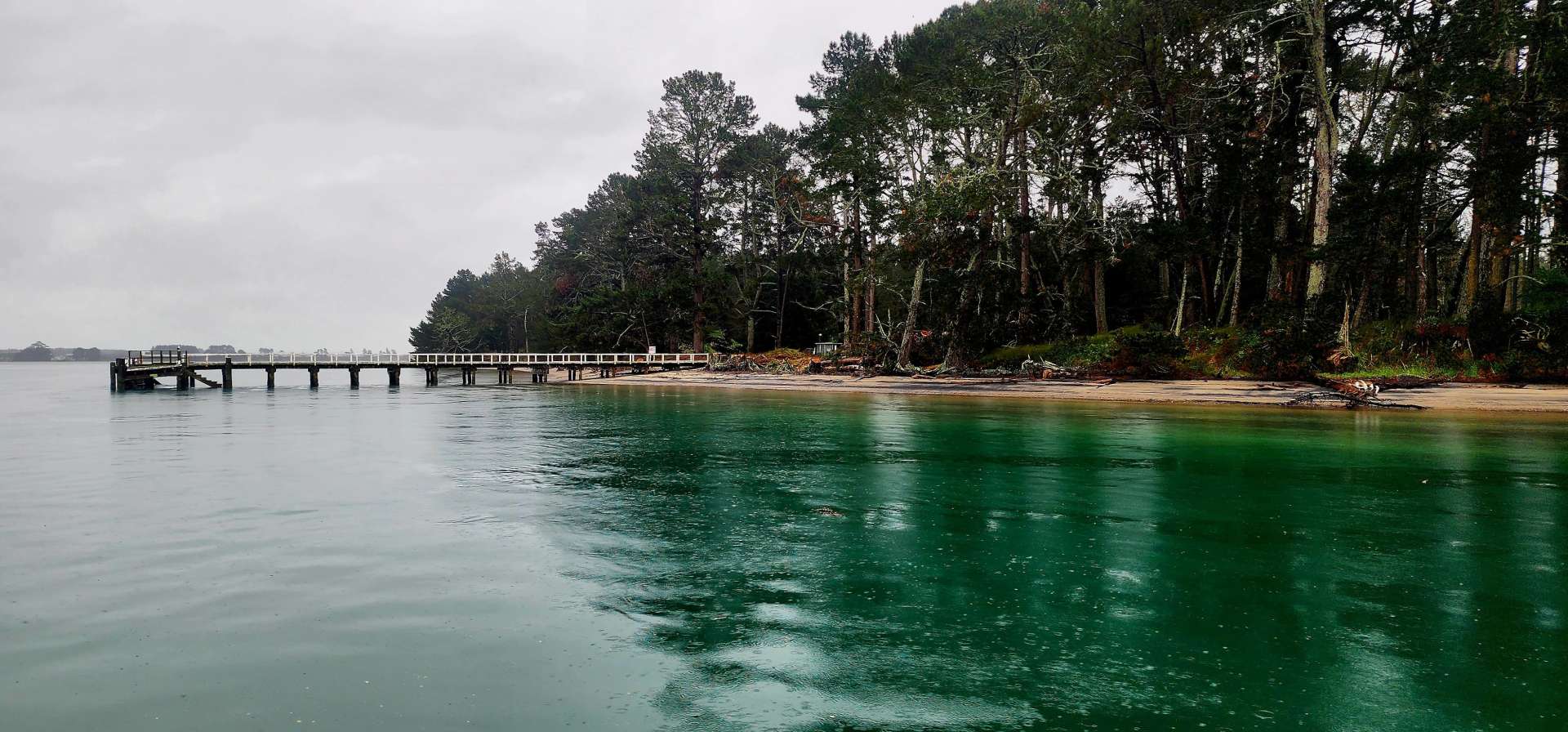 Matakana Island