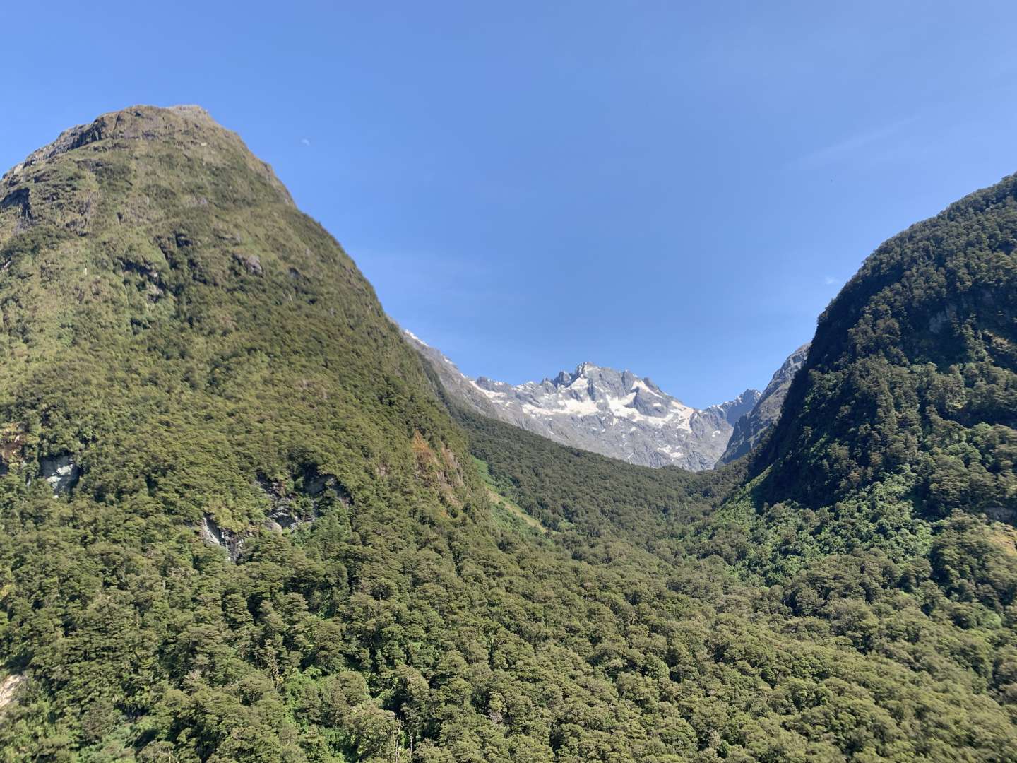 Milford Sound Private tour with Flights