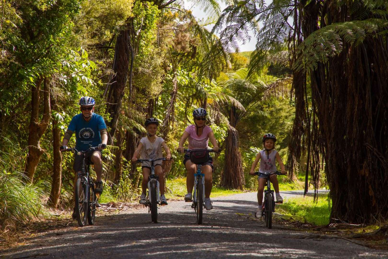 Northlands Twin Coast Cycle Trail through native bush family activity
