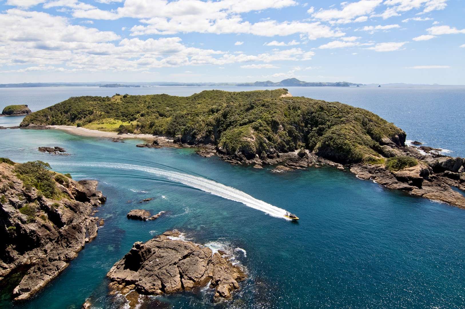 Ocean Adventure in the Bay of Islands