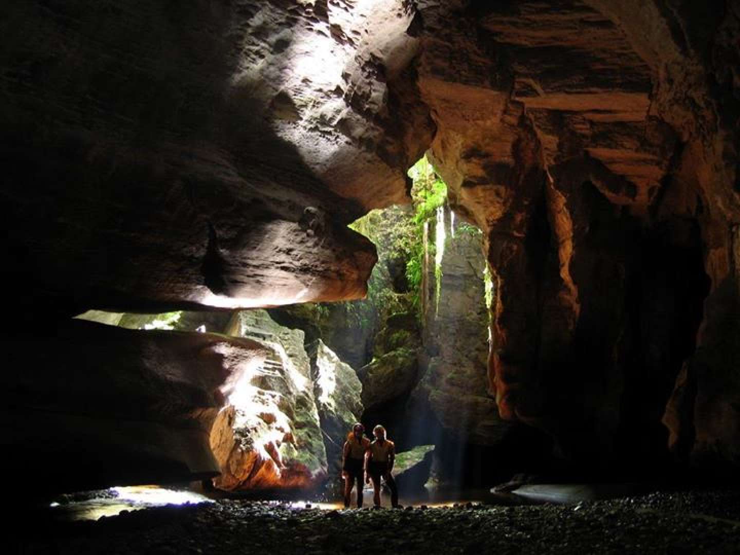 One of the best and brightest GlowWorm displays in New Zealand