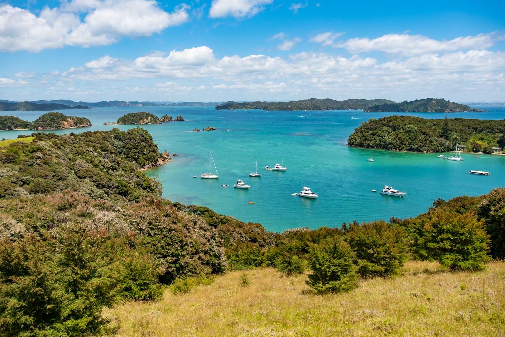 Otehei Bay on Urupukapuka Island on the Dolphin Eco Cruise with Explore