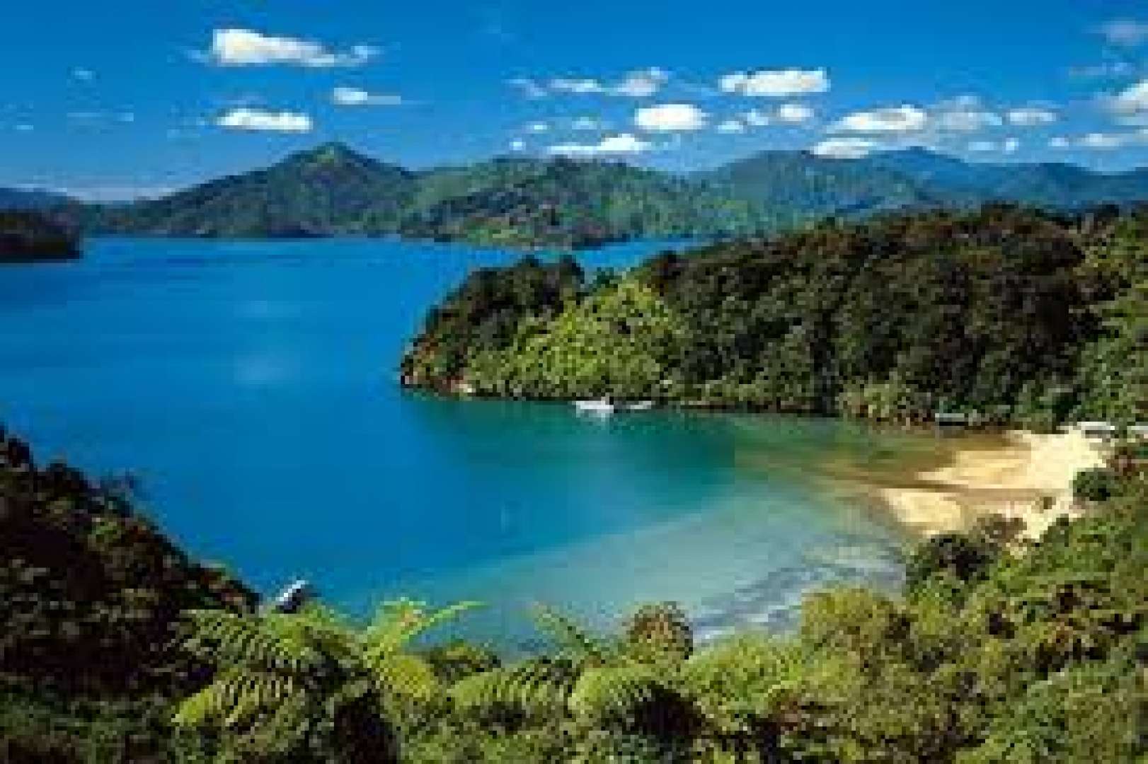 Artistry of the Queen Charlotte Drive See and Do New Zealand