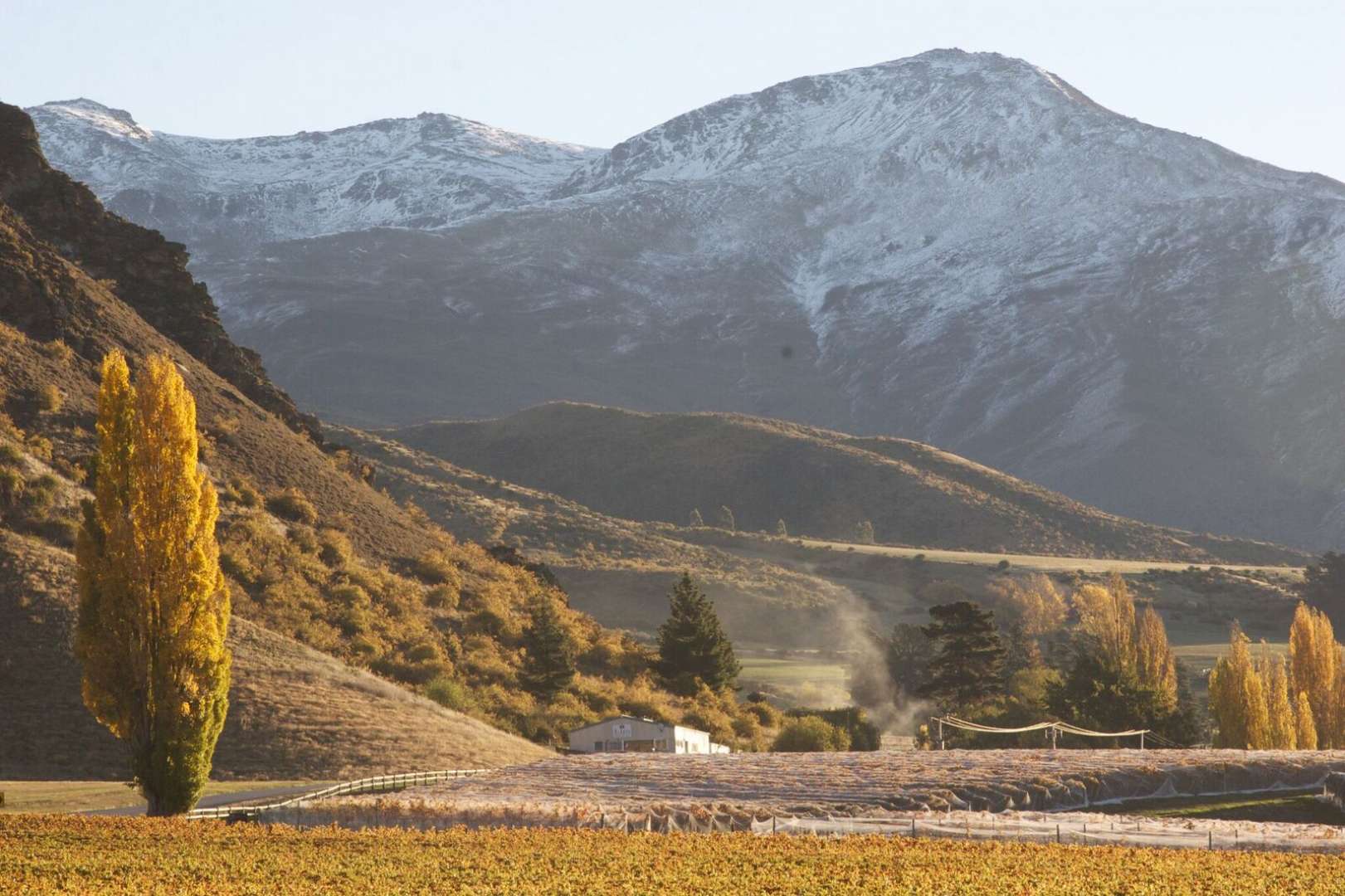 Queenstown Wine Tour Country