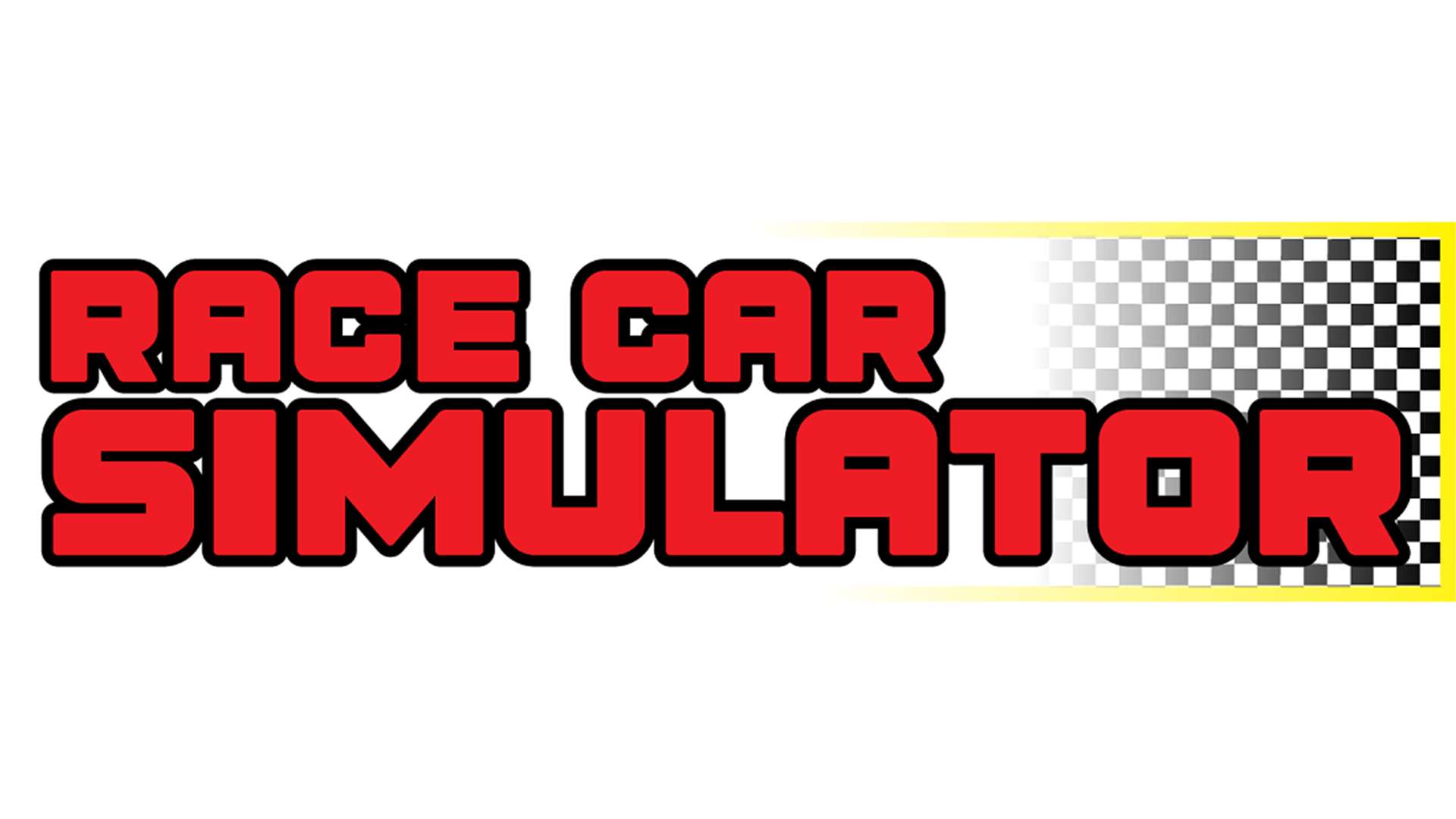 Race Car Simulator Auckland Activity