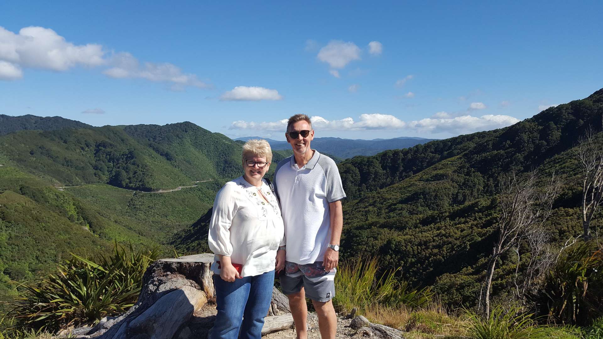 Remutaka Summit