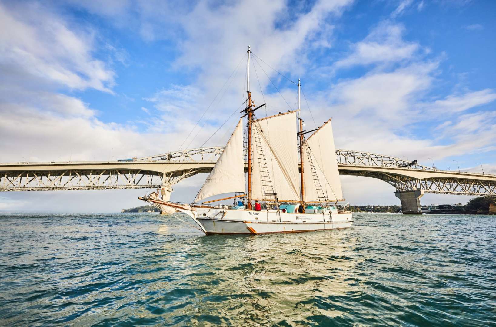 Sailing in Auckland Harbour