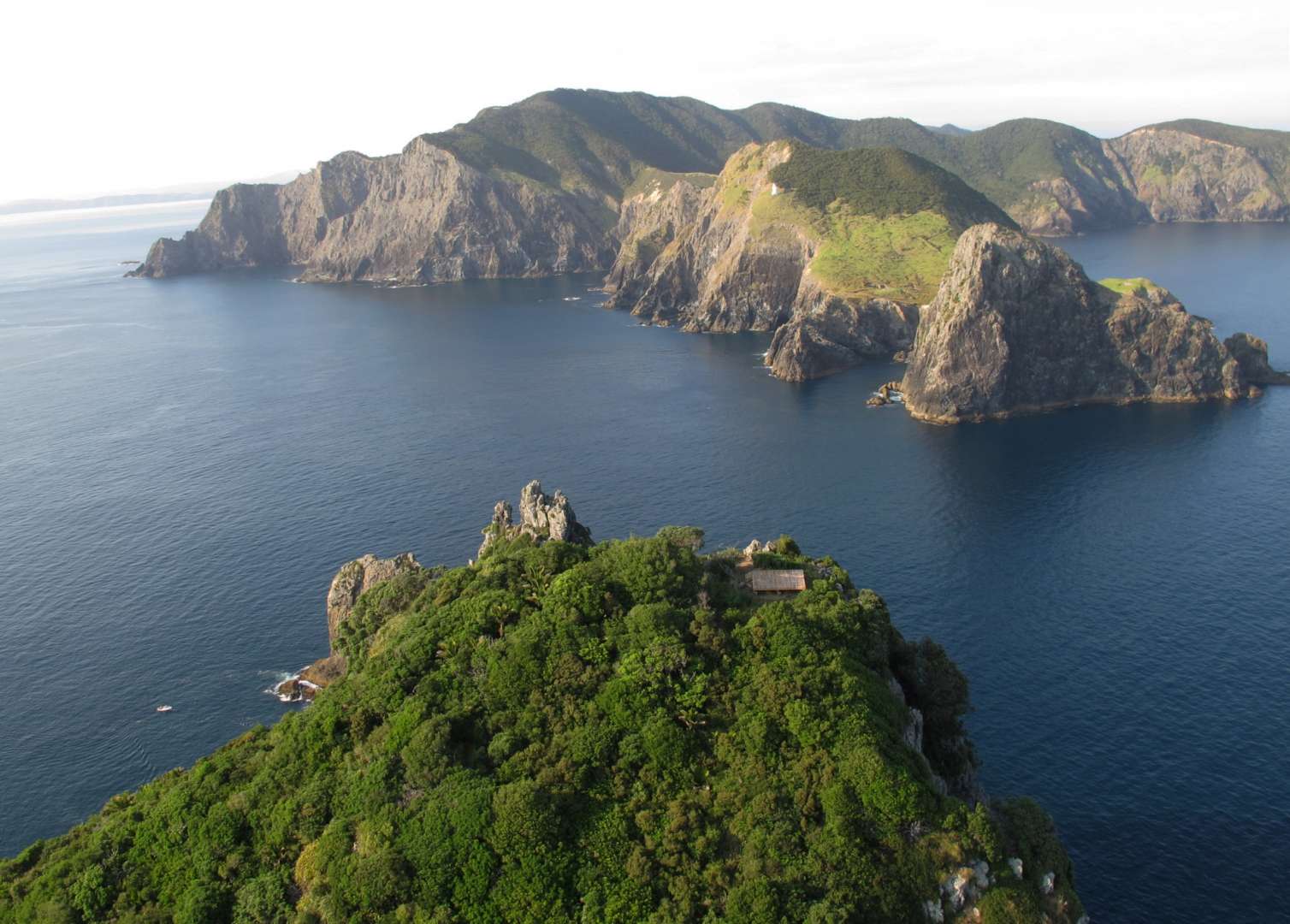 Scenic Flight things to do Paihia