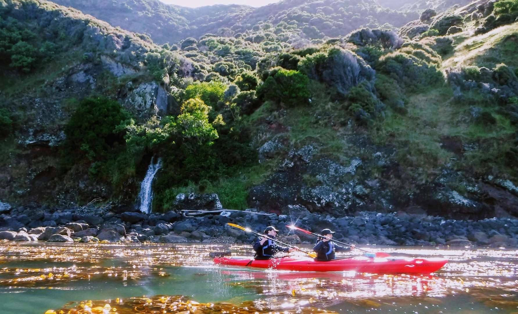 Scenic Kayaking in Akaroa