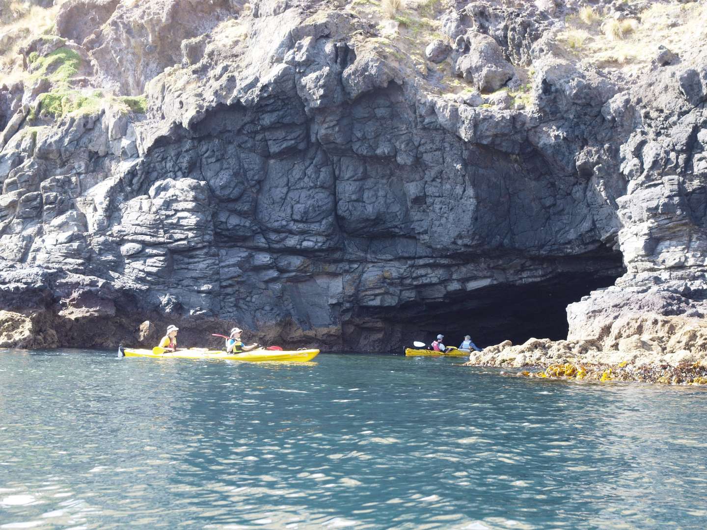 Sea-Kayak Pohatu Marine Reserve and Encounter its Unique Wildlife