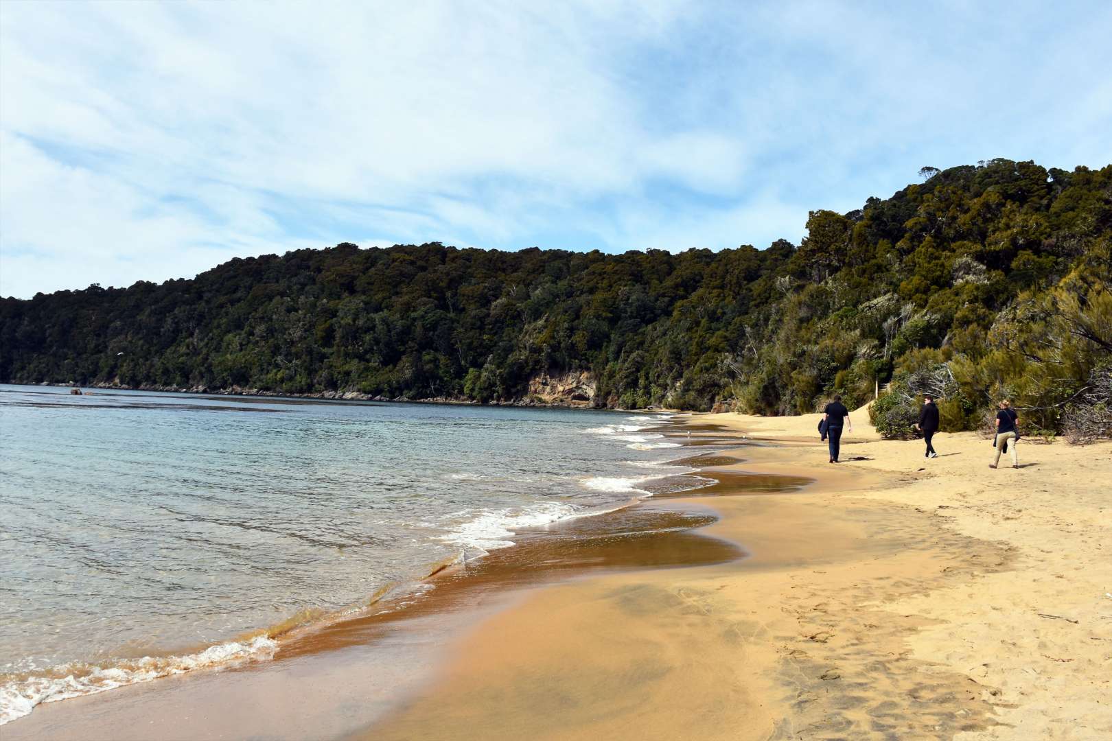 Stewart Island Beach