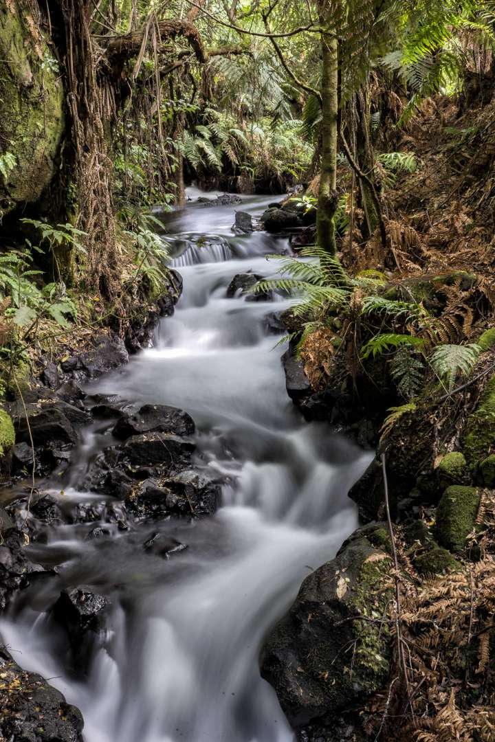 The Buried Village beautiful park and stream walks Rotorua