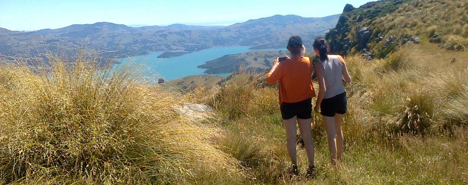 stunning views of Akaroa Harbour