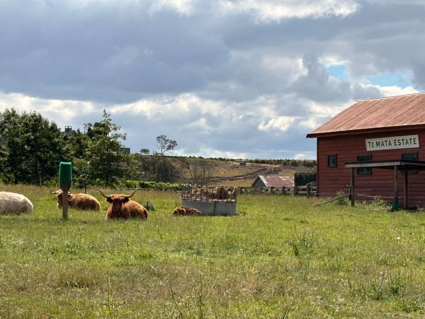 Te Mata Estate