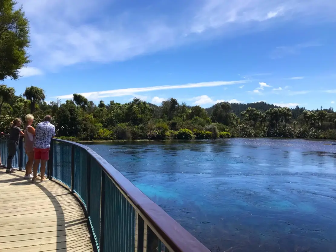 Te Waikoropupu Springs