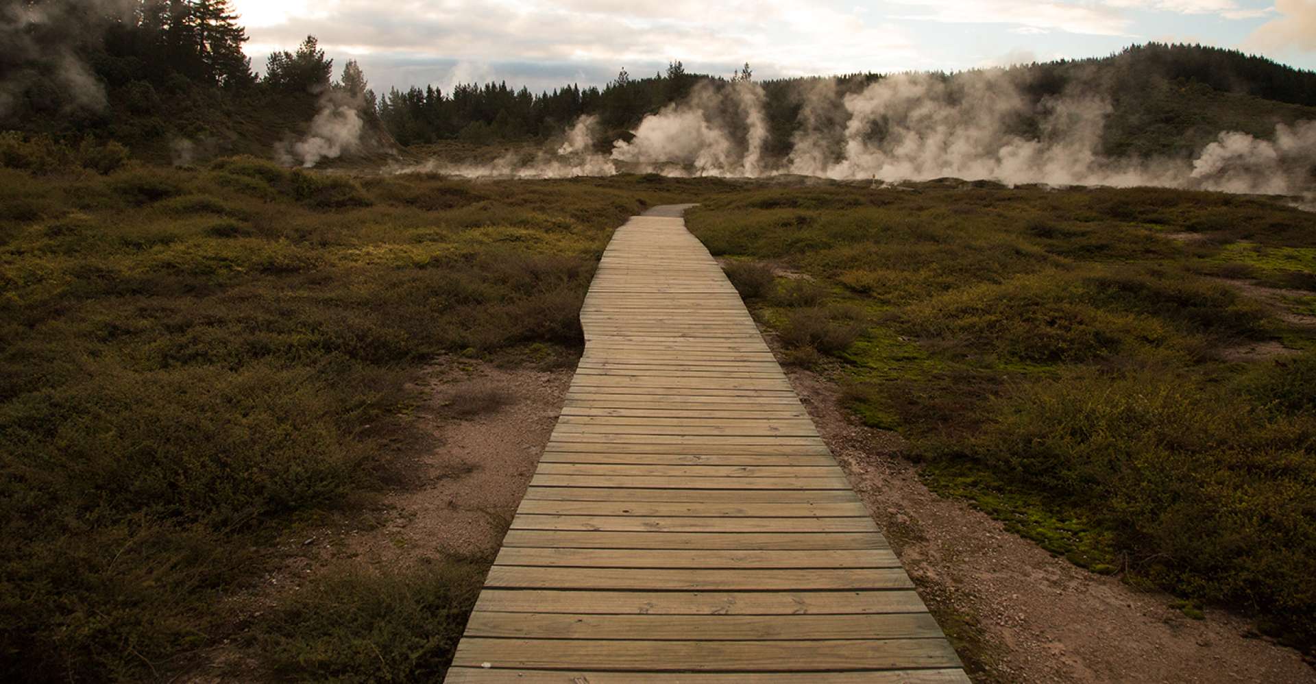 The Boardwalk