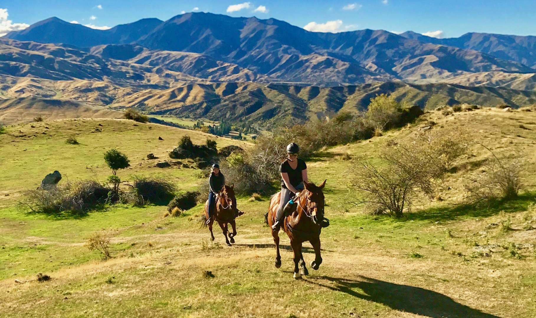 The High Country Pub Trail Cross Country Horse Trek