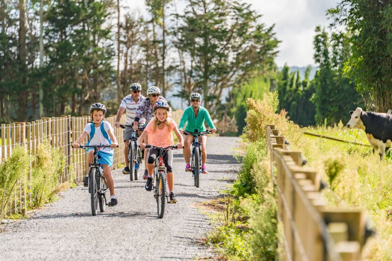 The Pou Herenga Tai Twin Coast Cycle Trail attraction