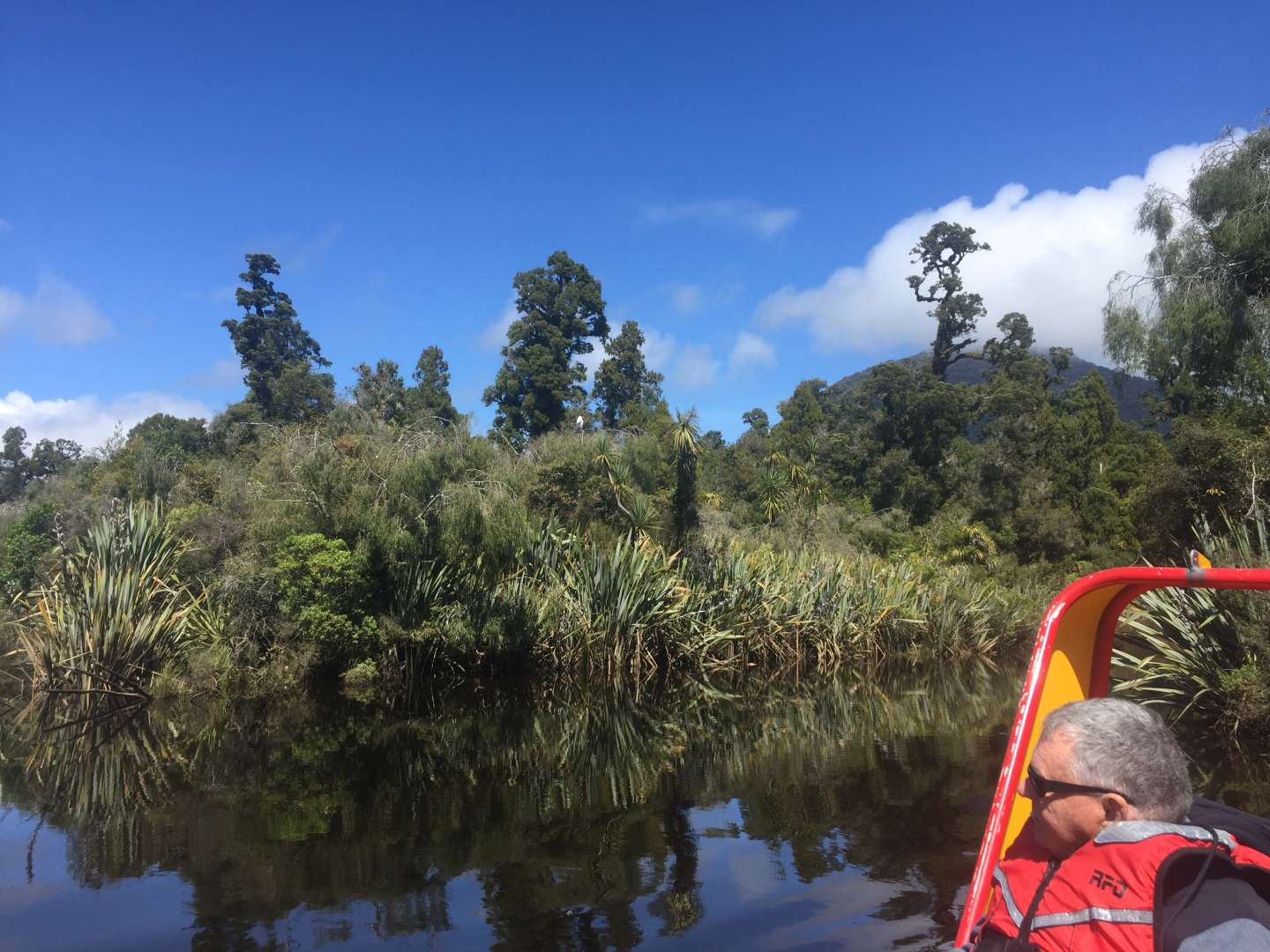 The whitebait breeding grounds