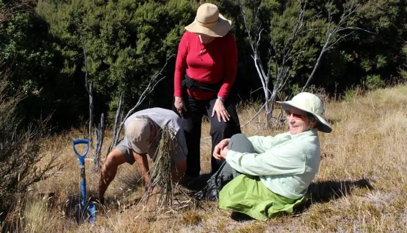 Tree Planting