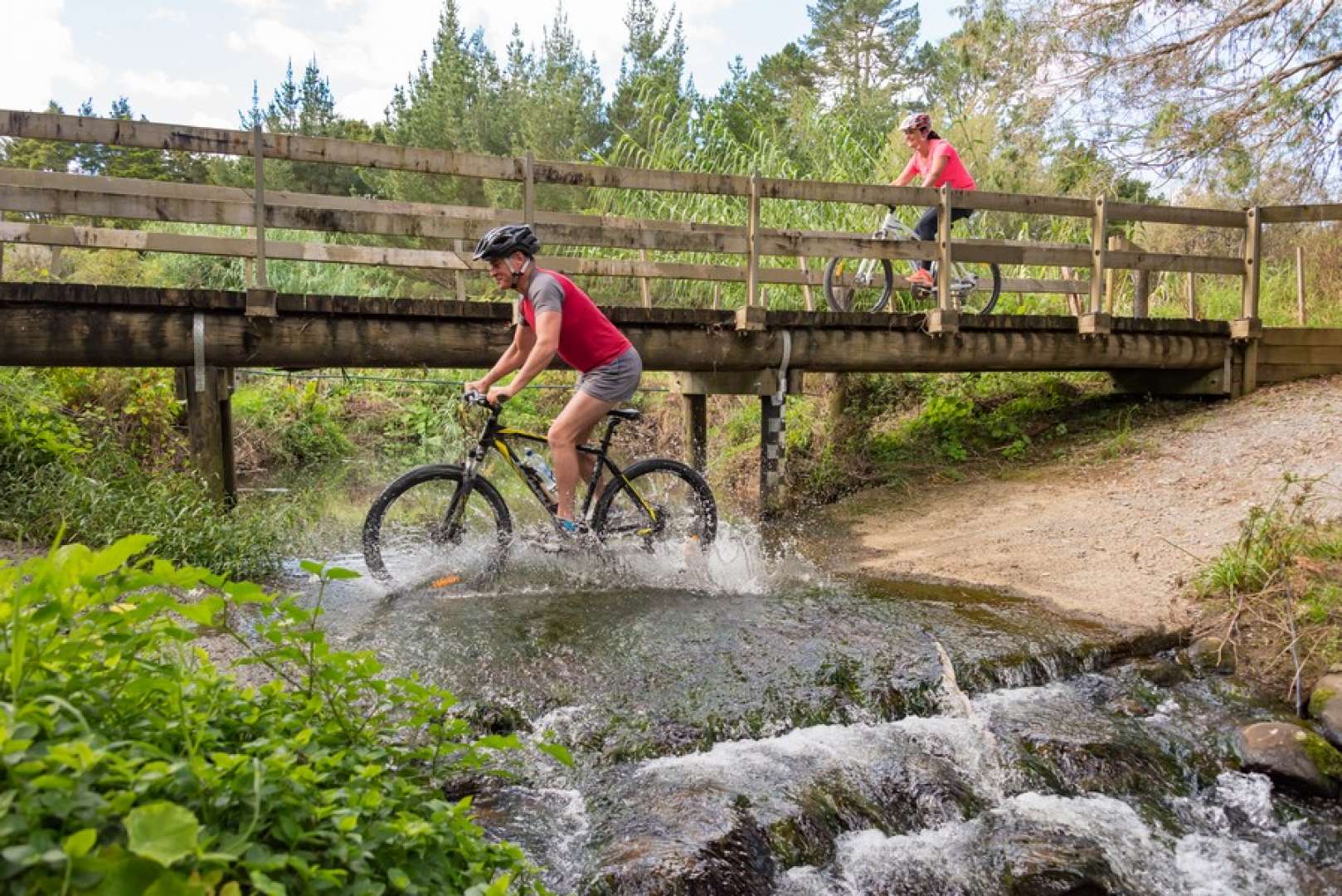 Twin Coast Cycle trail Northland