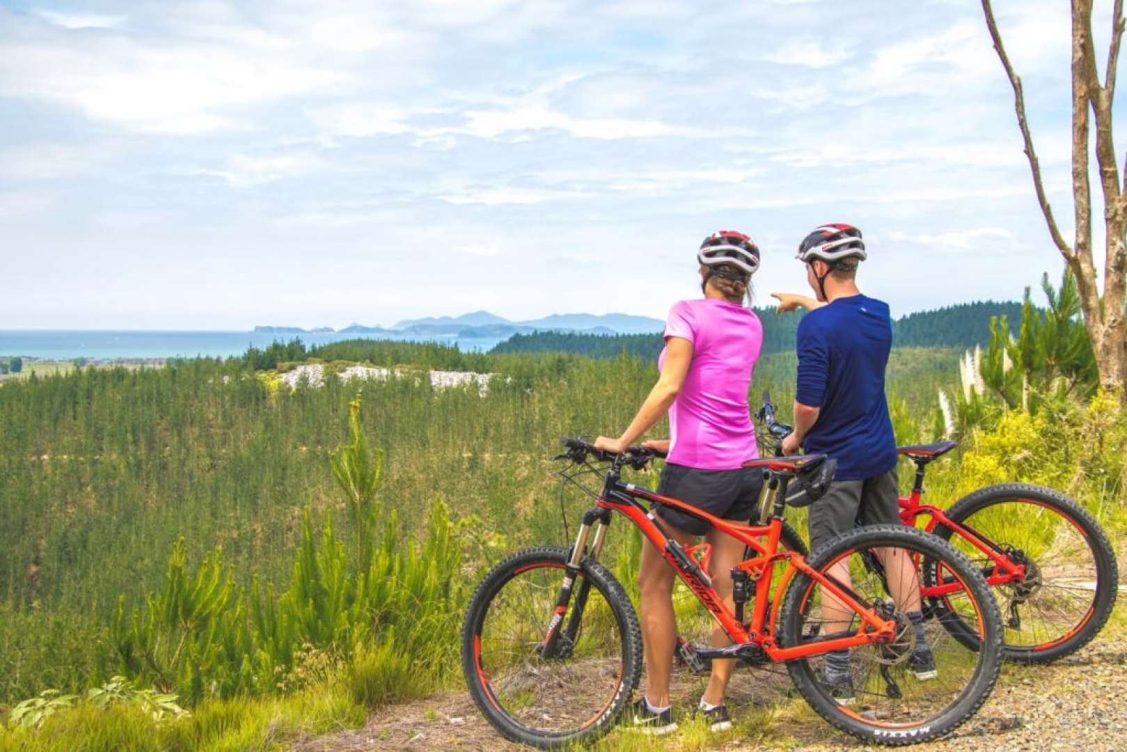 Views from the Top of waitangi mountain bike park