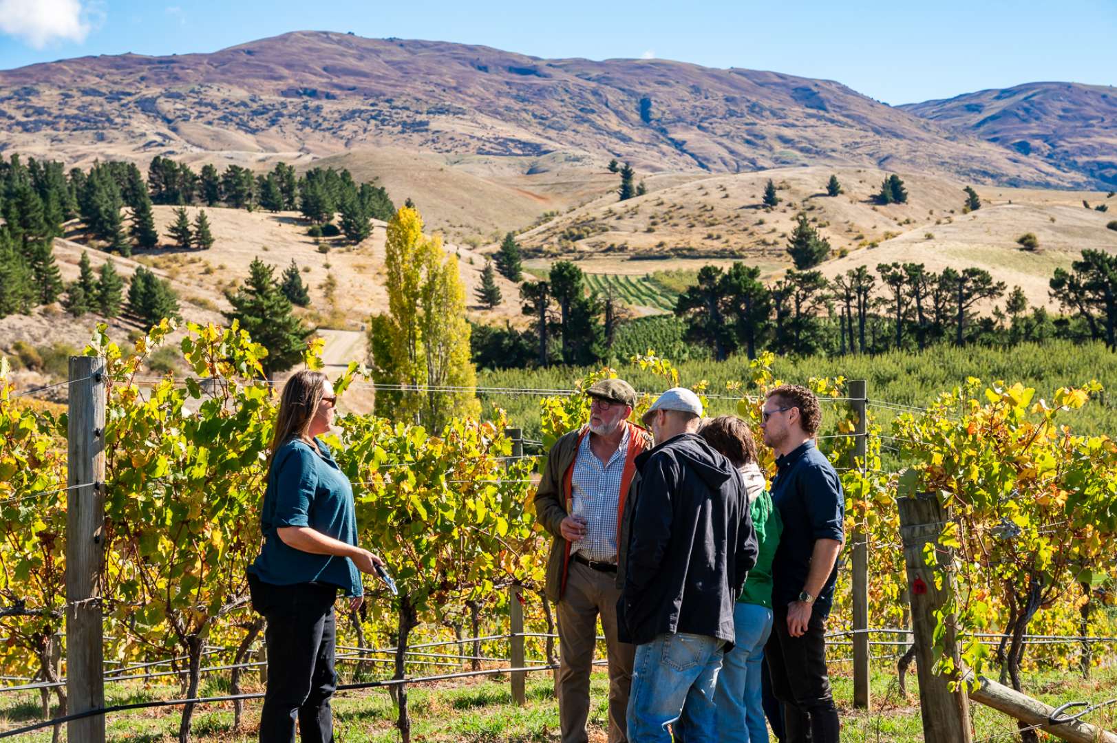 Vineyard Talk