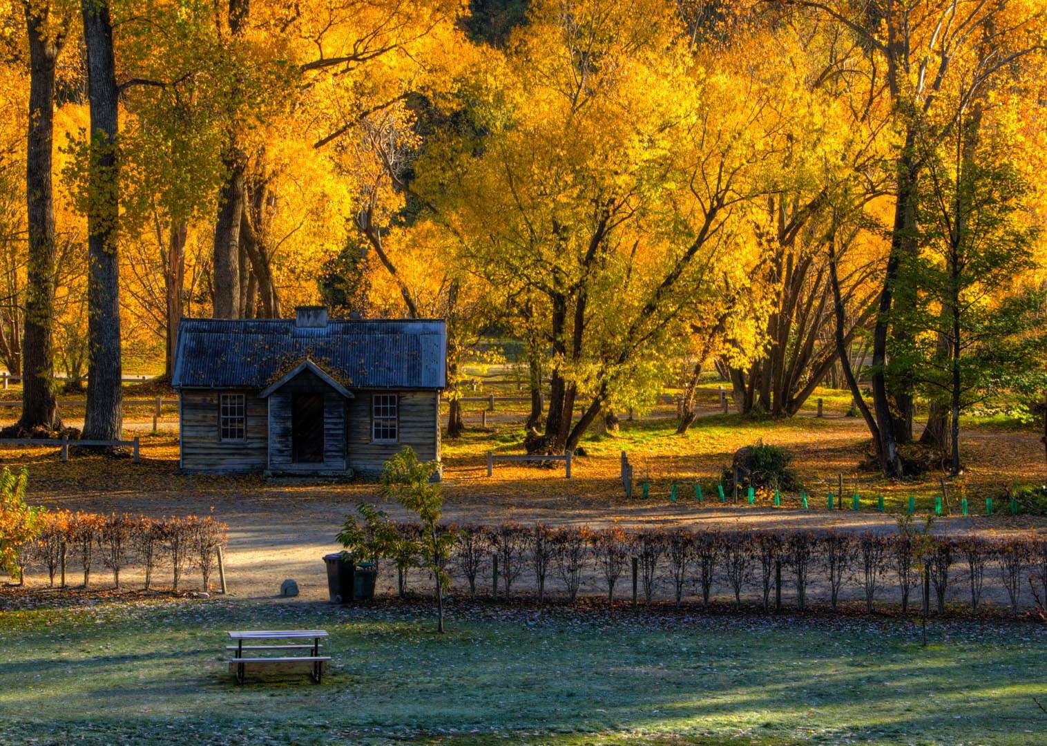 Visit Historic Arrowtown Tour