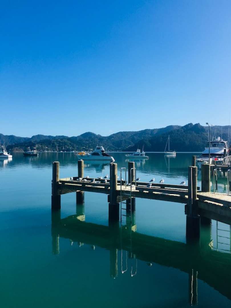 Visit Paihia Township on this Scenic Circut Tour