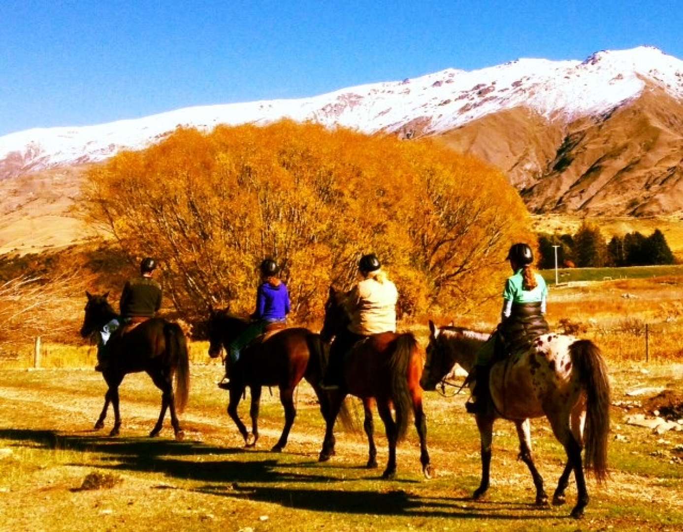 Wanaka Horse Riding Guided Activity