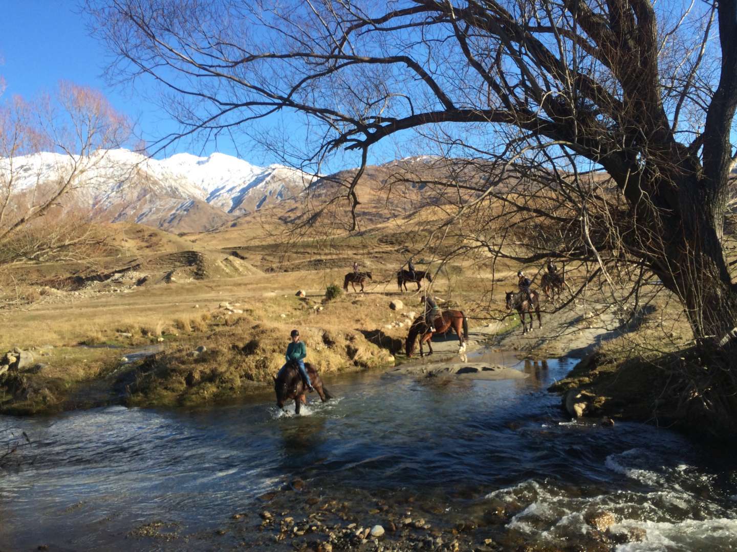 Wanaka South Island Horse Trek with River Crossing