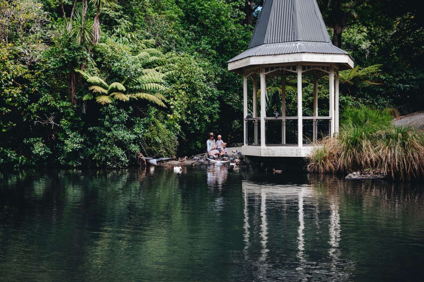 Wellington Botanic Gardens