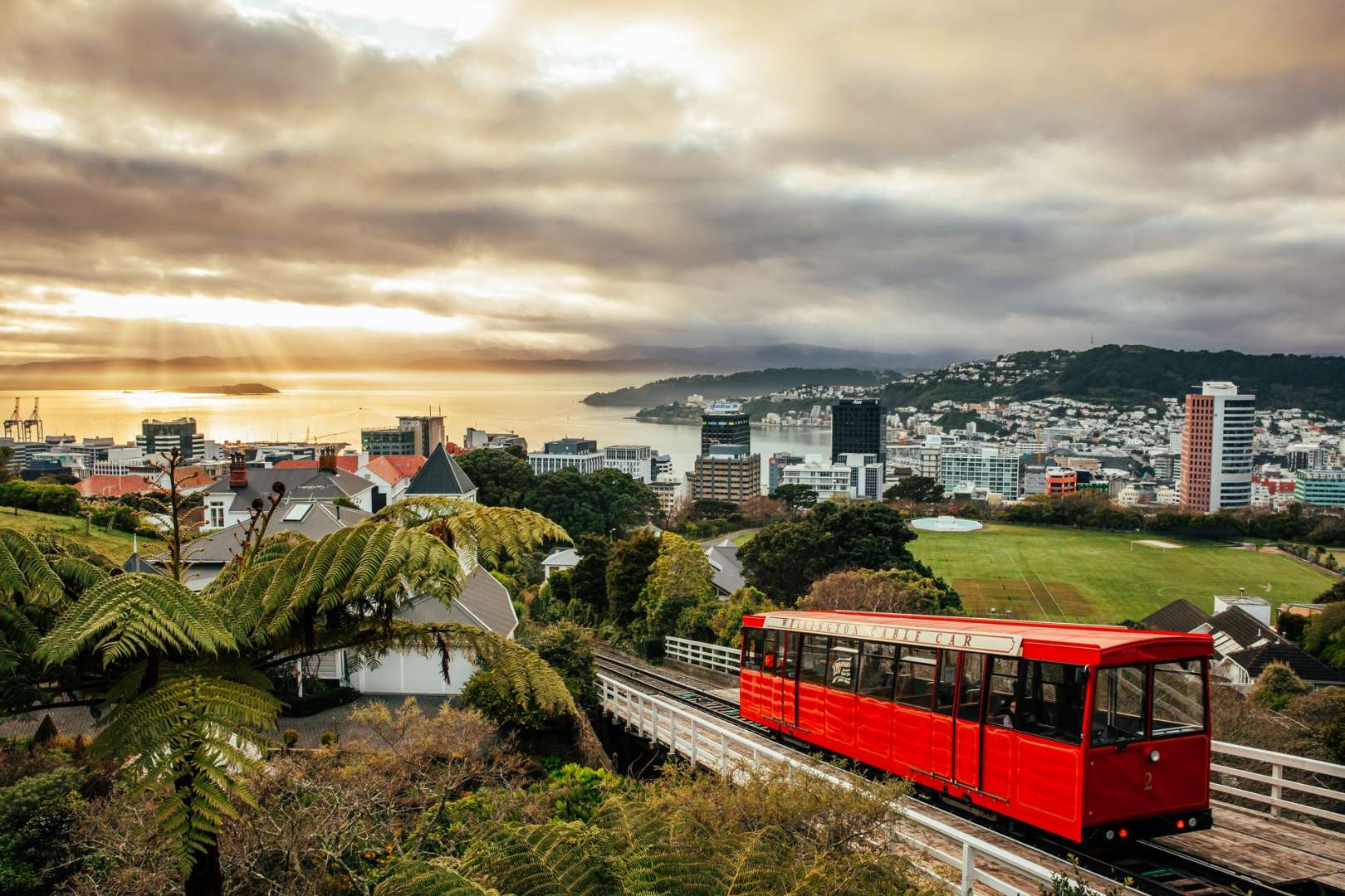 Wellington Cable Car with View
