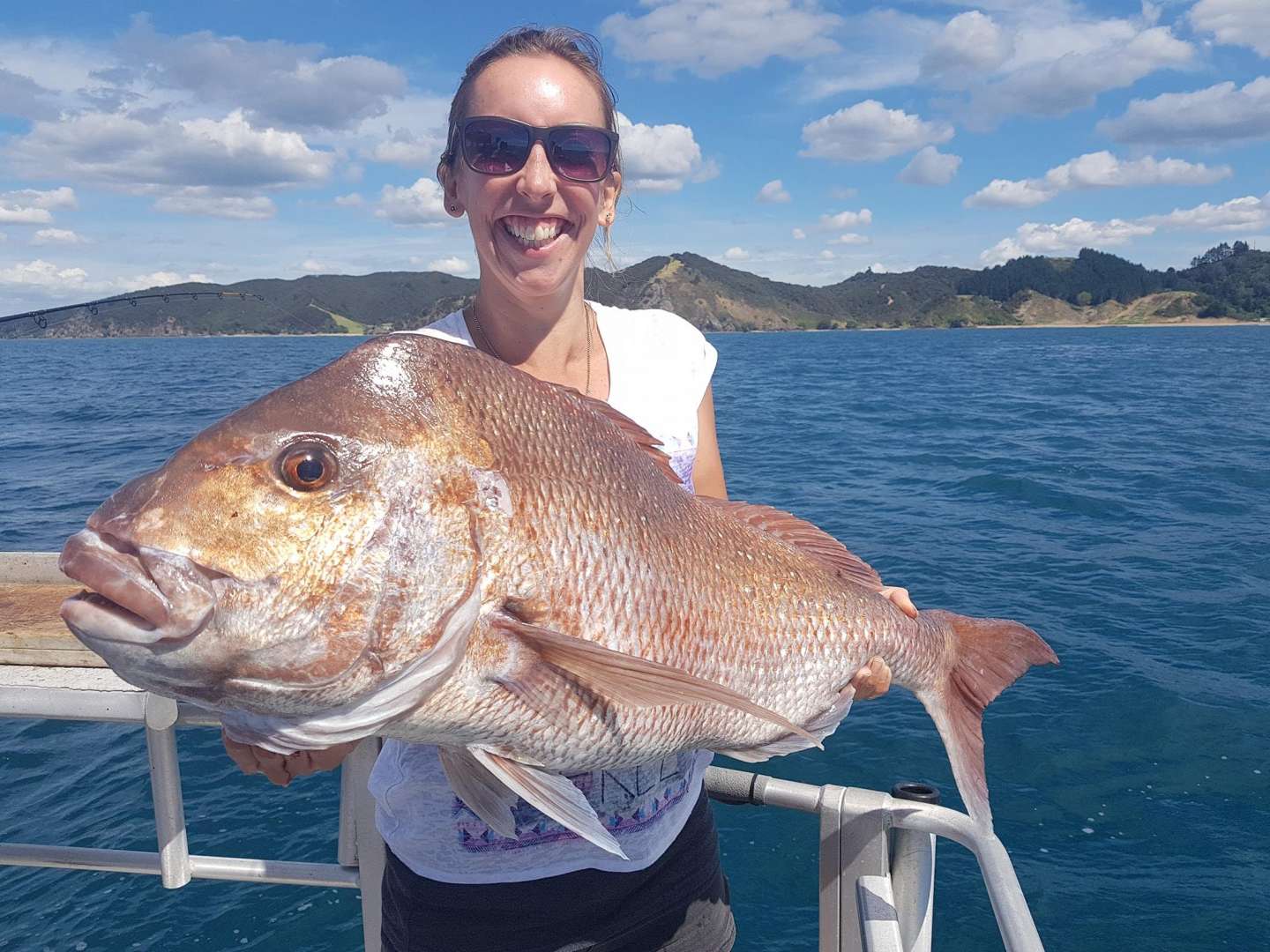 Winning Snapper Fish Bay of Islands New Zealand