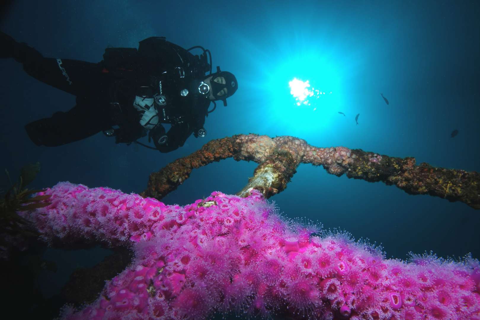 Wreck Diving New Zealand