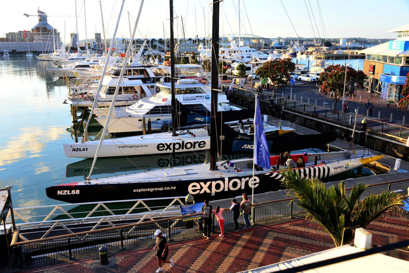 Yachting Activitys in Auckland Harbour