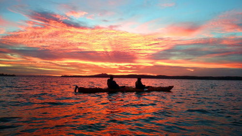 Kayak